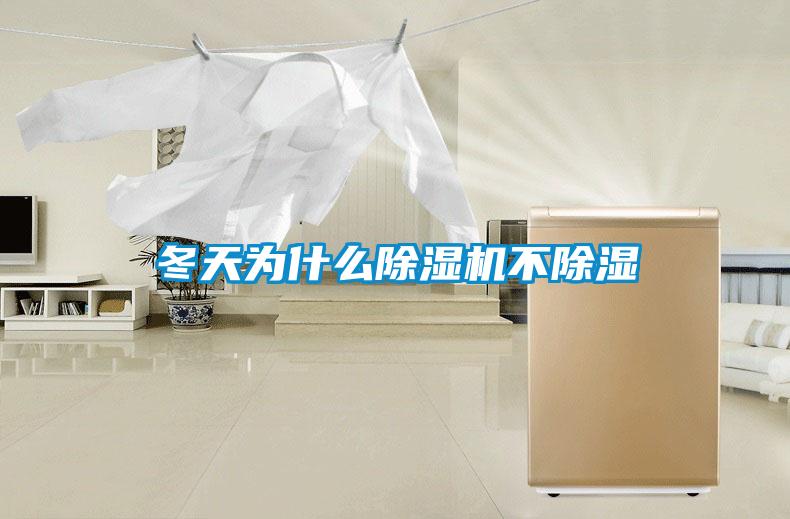 冬天为什么91抖音免费看片不除湿