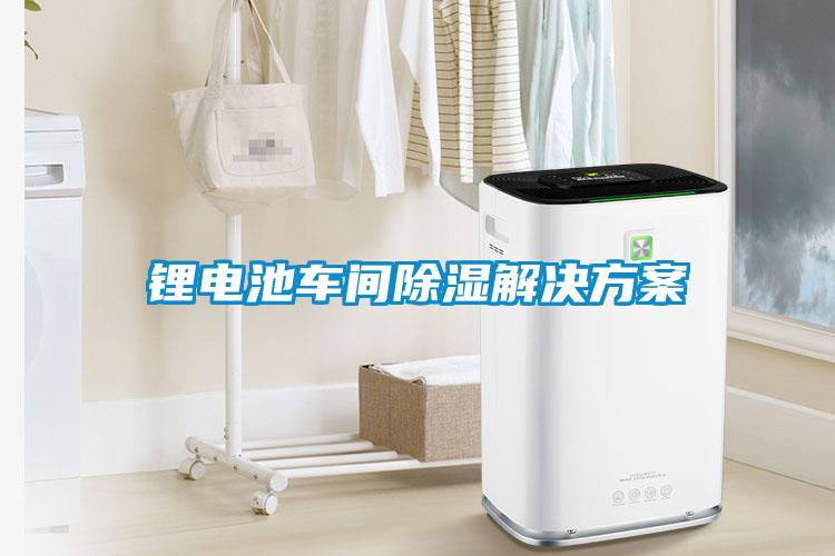 锂电池车间除湿成人抖音APP污下载