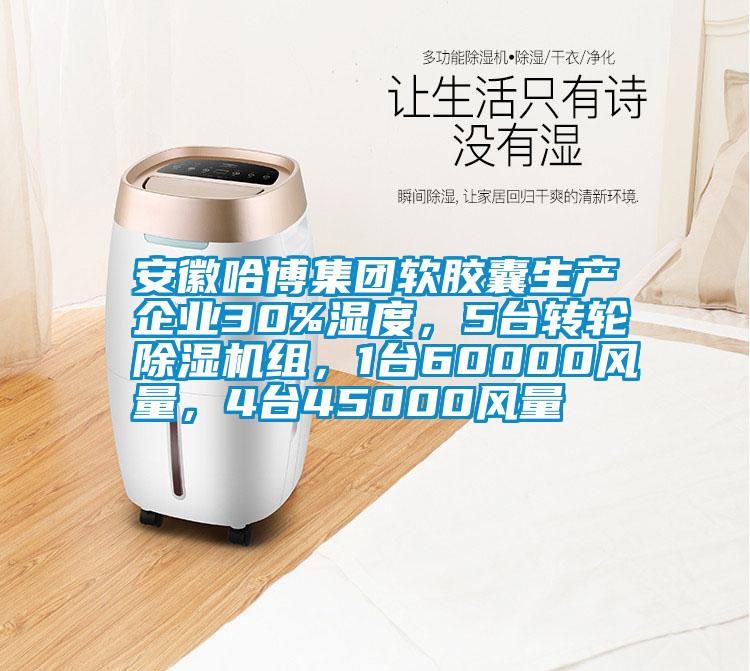 安徽哈博集团软胶囊生产企业30%湿度，5台转轮91抖音免费看片组，1台60000风量，4台45000风量