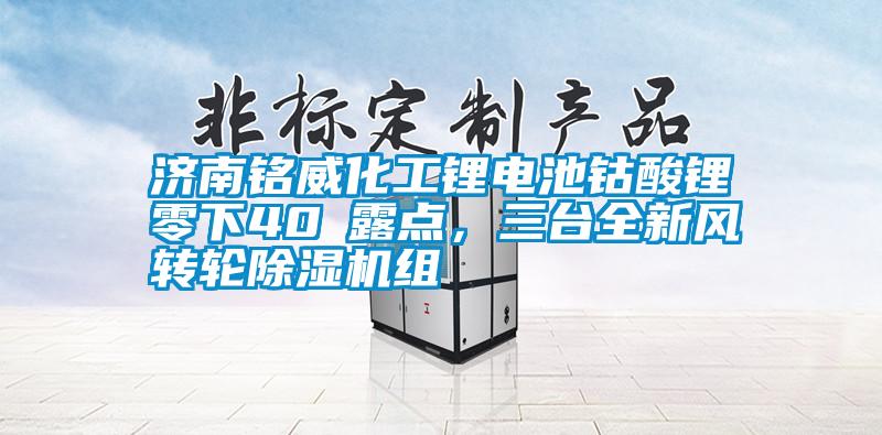济南铭威化工锂电池钴酸锂零下40℃露点，三台全新风转轮91抖音免费看片组