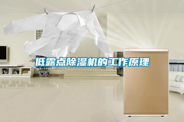 低露点91抖音免费看片的工作原理