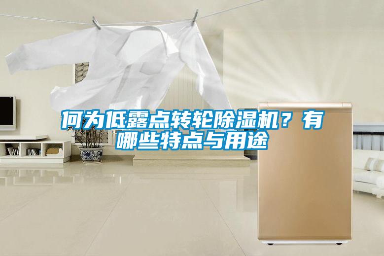何为低露点转轮91抖音免费看片？有哪些特点与用途