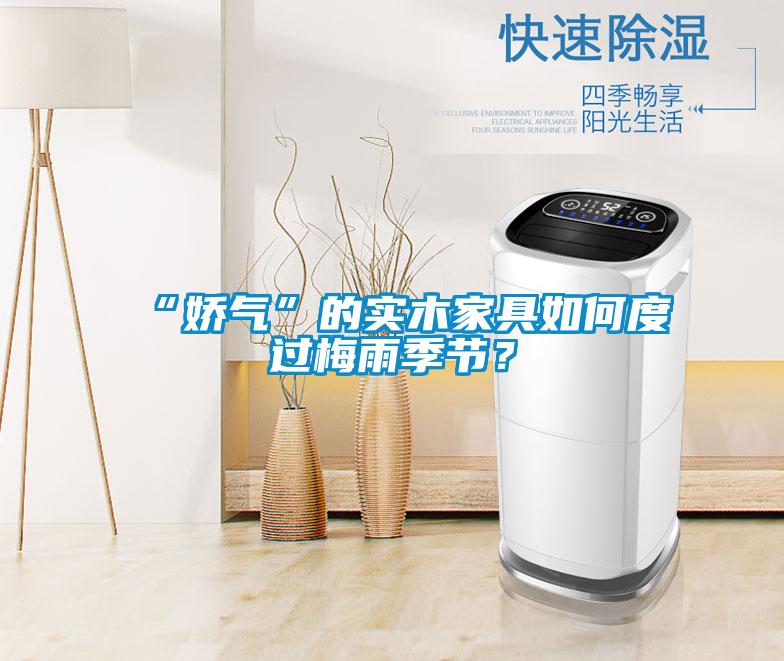 “娇气”的实木家具如何度过梅雨季节？