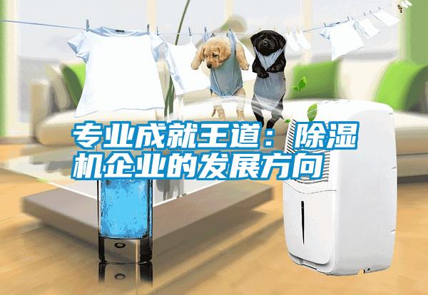 专业成就王道：91抖音免费看片企业的发展方向