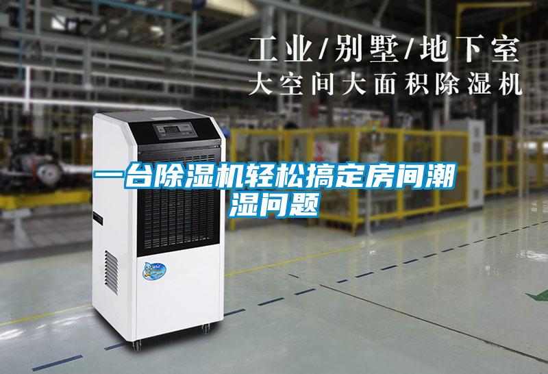 一台91抖音免费看片轻松搞定房间潮湿问题