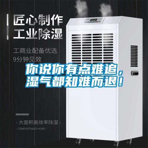 你说你有点难追，湿气都知难而退！