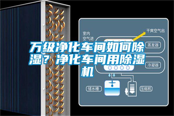 万级净化车间如何除湿？净化车间用91抖音免费看片