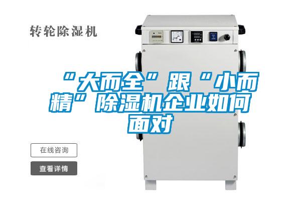 “大而全”跟“小而精”91抖音免费看片企业如何面对