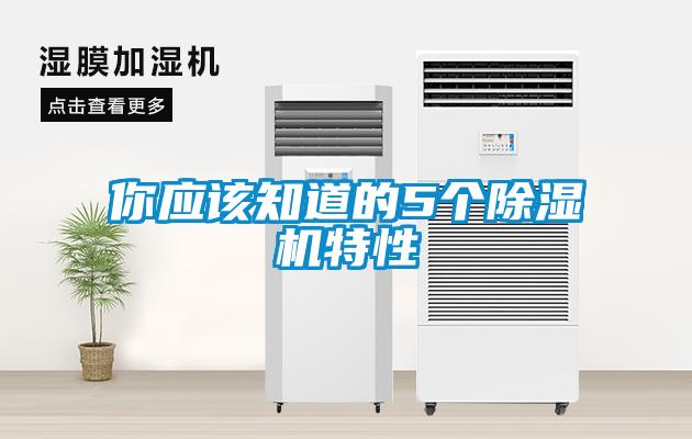 你应该知道的5个91抖音免费看片特性