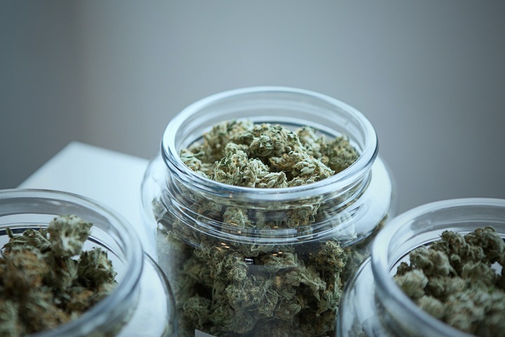如何让中草药烘干过程“药性”不流失？