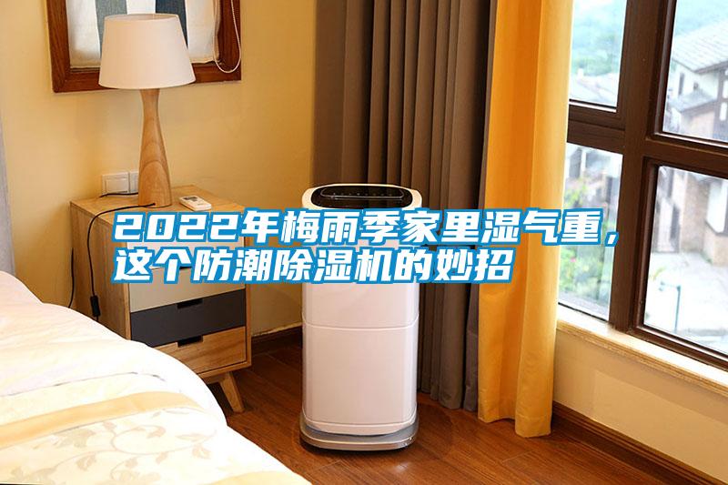 2022年梅雨季家里湿气重，这个防潮91抖音免费看片的妙招