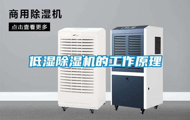 低湿91抖音免费看片的工作原理