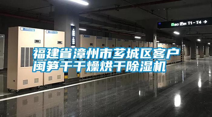 福建省漳州市芗城区客户闽笋干干燥烘干91抖音免费看片