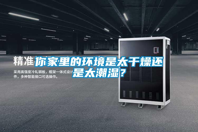 你家里的环境是太干燥还是太潮湿？