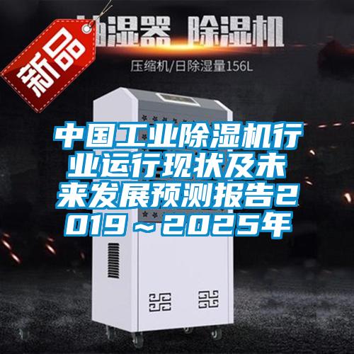 中国工业91抖音免费看片行业运行现状及未来发展预测报告2019～2025年