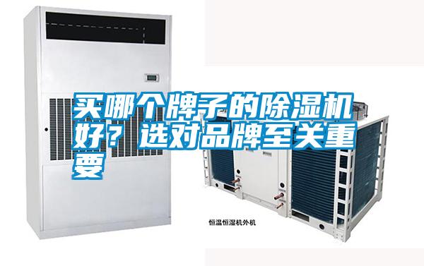 买哪个牌子的91抖音免费看片好？选对品牌至关重要