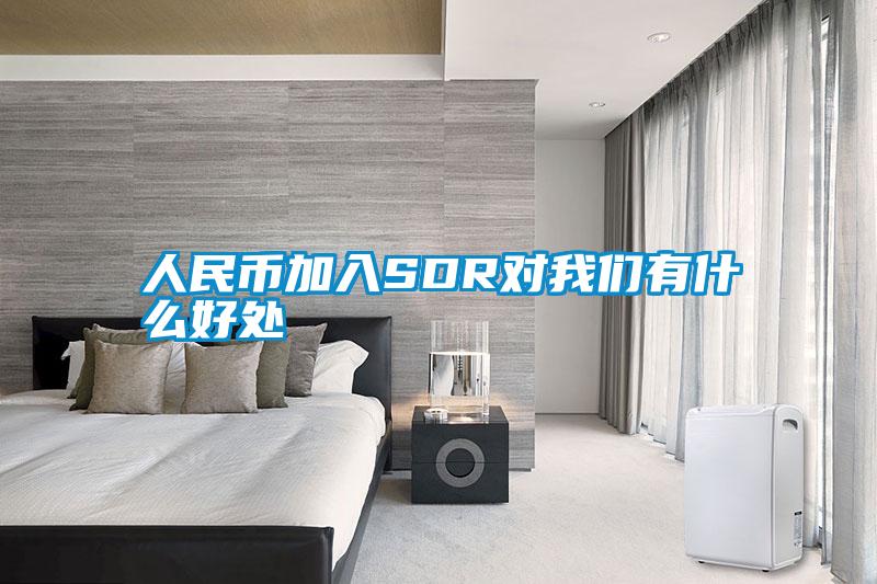 人民币加入SDR对成人抖音在线下载有什么好处