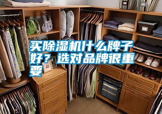 买91抖音免费看片什么牌子好？选对品牌很重要