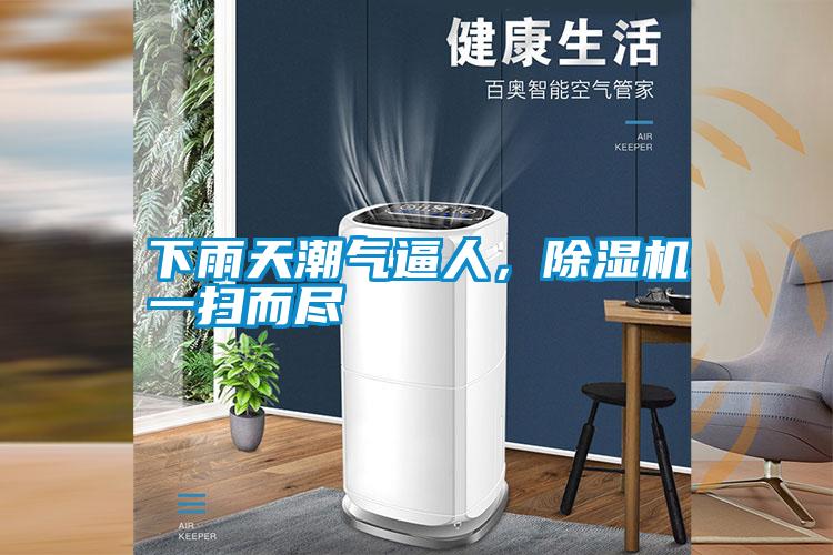 下雨天潮气逼人，91抖音免费看片一扫而尽