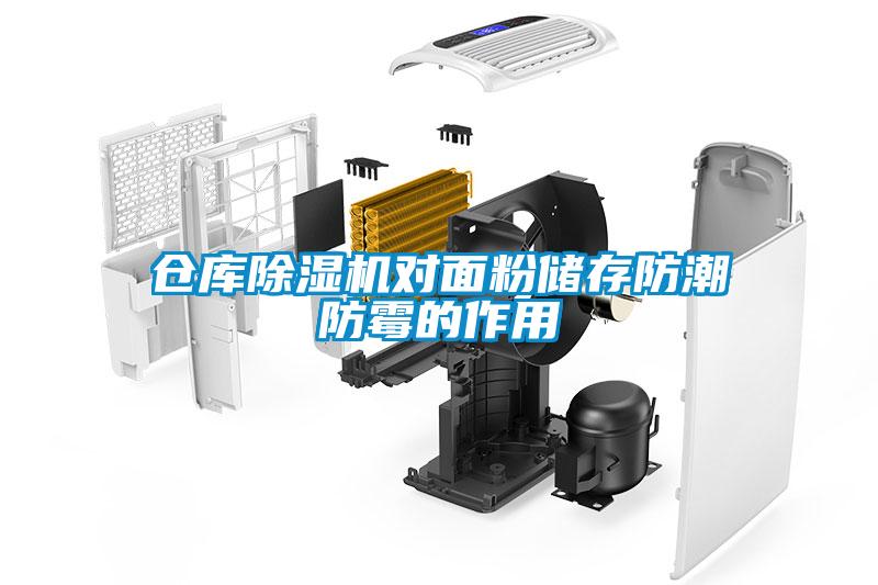 仓库91抖音免费看片对面粉储存防潮防霉的作用