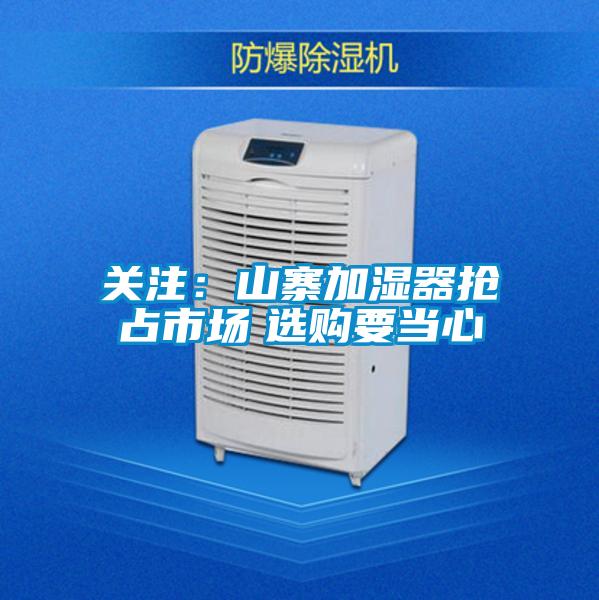 关注：山寨加湿器抢占市场　选购要当心