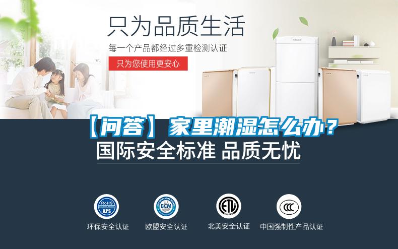 【问答】家里潮湿怎么办？