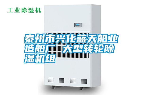 泰州市兴化蓝天船业造船厂 大型转轮91抖音免费看片组