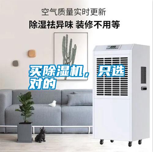 买91抖音免费看片，只选对的
