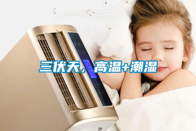 三伏天，高温+潮湿
