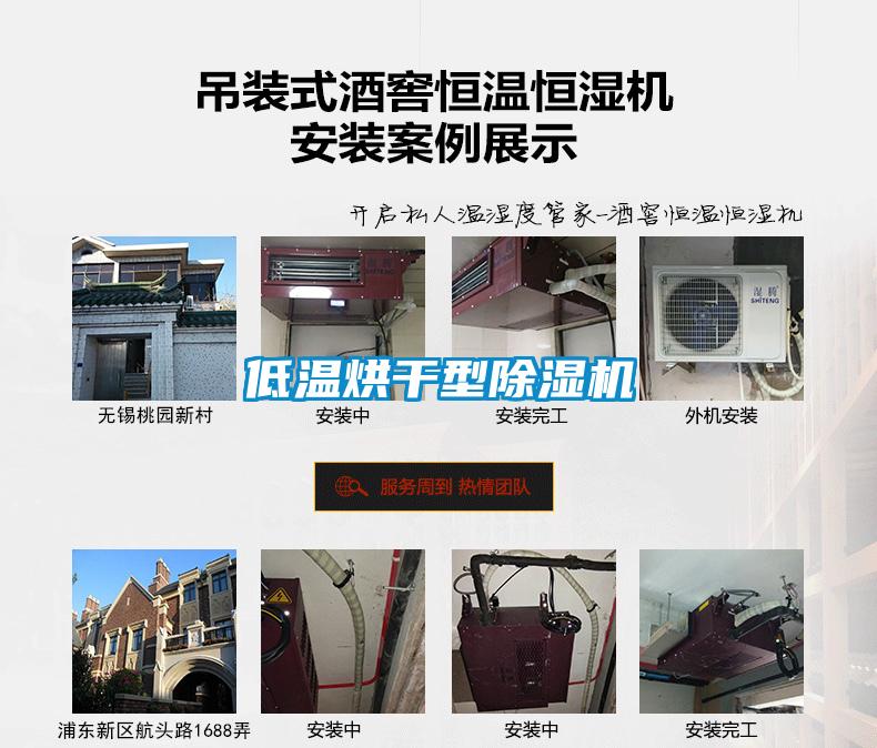 低温烘干型91抖音免费看片