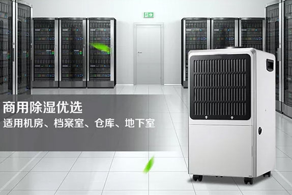 立式管道型91抖音免费看片36L／D
