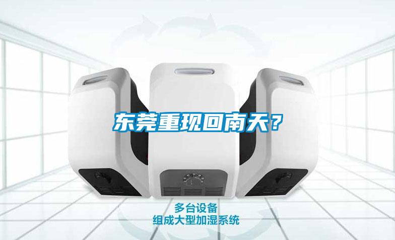 东莞重现回南天？