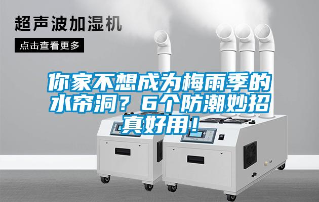 你家不想成为梅雨季的水帘洞？6个防潮妙招真好用！