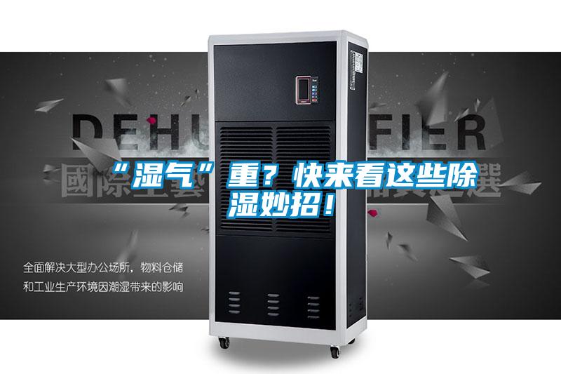“湿气”重？快来看这些除湿妙招！