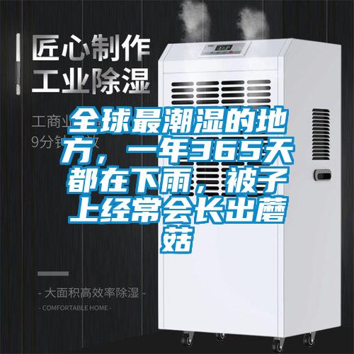 全球最潮湿的地方，一年365天都在下雨，被子上经常会长出蘑菇
