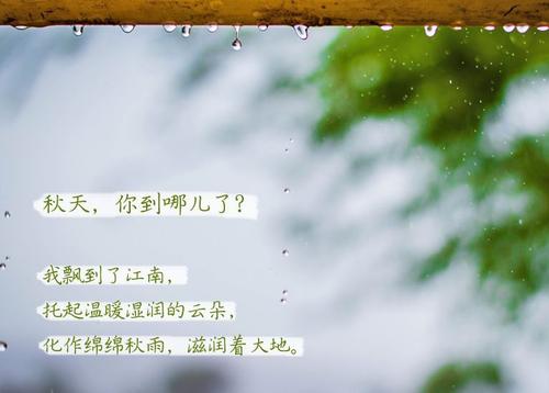 “无晴”阴雨天 “有晴”91抖音免费看片
