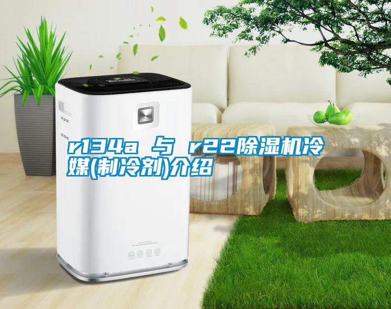 r134a 与 r2291抖音免费看片冷媒(制冷剂)介绍