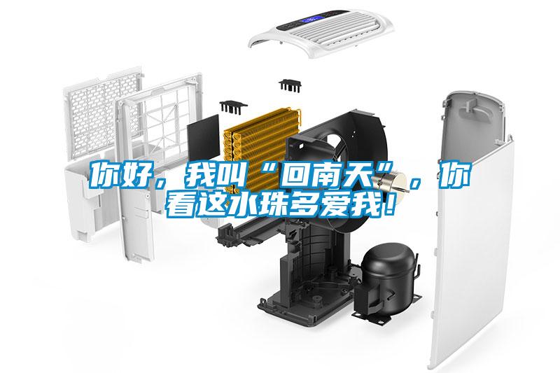 你好，我叫“回南天”，你看这水珠多爱我！
