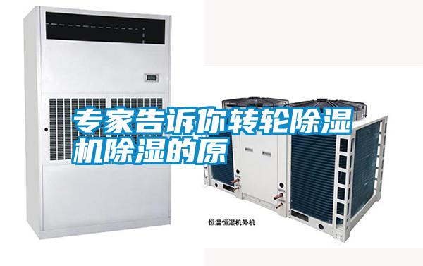 专家告诉你转轮91抖音免费看片除湿的原