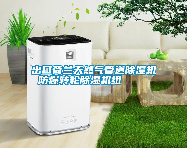 出口荷兰天然气管道91抖音免费看片 防爆转轮91抖音免费看片组