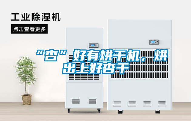 “杏”好有烘干机，烘出上好杏干