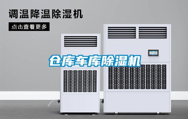 仓库车库91抖音免费看片