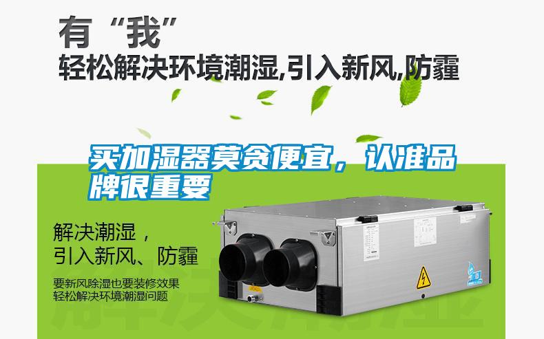 买加湿器莫贪便宜，认准品牌很重要