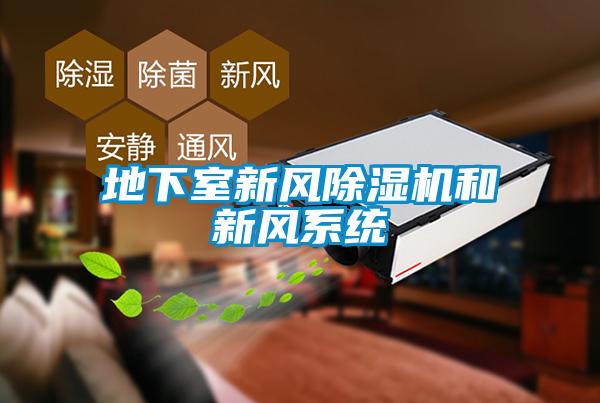 地下室新风91抖音免费看片和新风系统