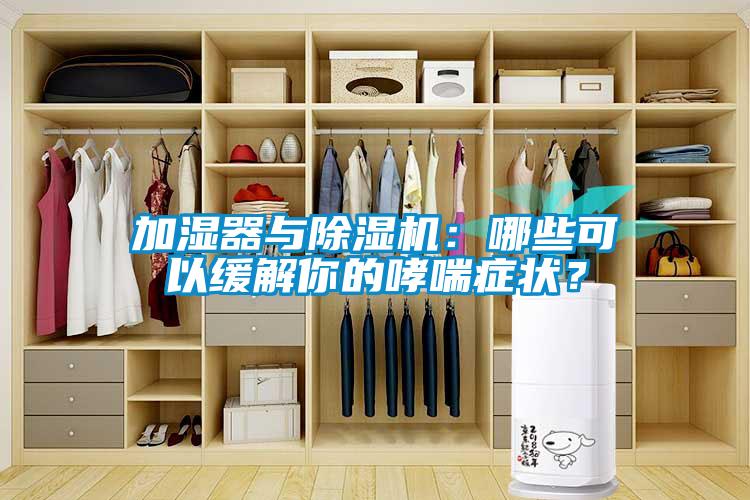 加湿器与91抖音免费看片：哪些可以缓解你的哮喘症状？