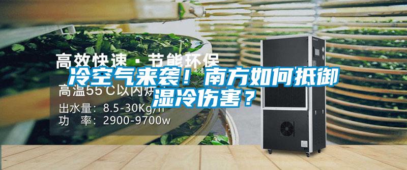 冷空气来袭！南方如何抵御湿冷伤害？