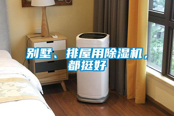 别墅、排屋用91抖音免费看片，都挺好
