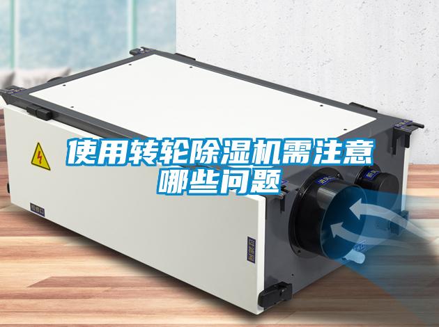 使用转轮91抖音免费看片需注意哪些问题