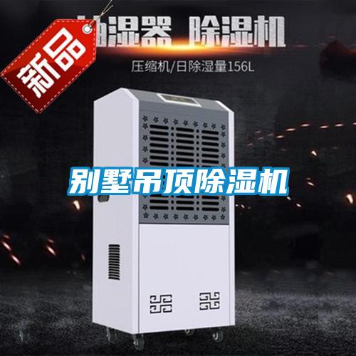 别墅吊顶91抖音免费看片