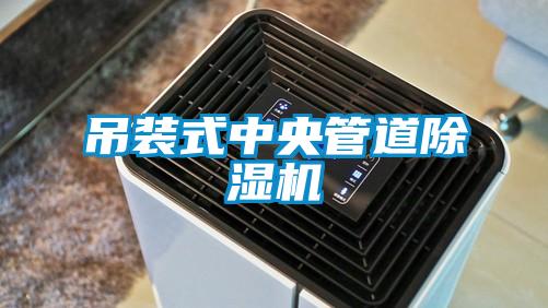 吊装式中央管道91抖音免费看片